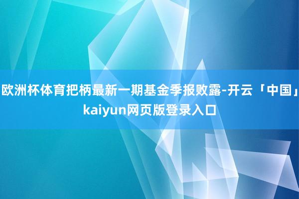 欧洲杯体育把柄最新一期基金季报败露-开云「中国」kaiyun网页版登录入口