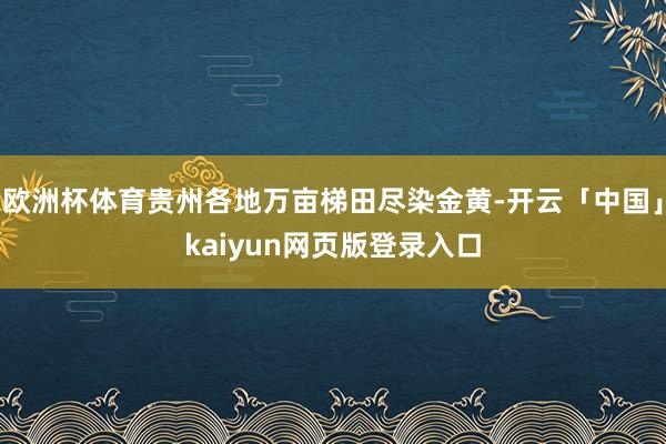 欧洲杯体育贵州各地万亩梯田尽染金黄-开云「中国」kaiyun网页版登录入口