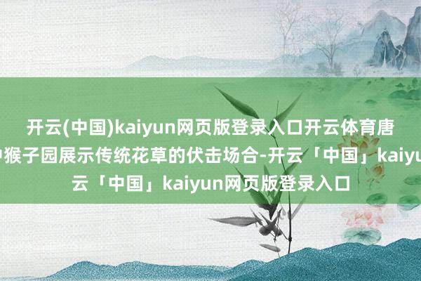 开云(中国)kaiyun网页版登录入口开云体育唐花坞、蕙芳园是中猴子园展示传统花草的伏击场合-开云「中国」kaiyun网页版登录入口