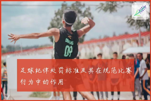 足球纪律处罚标准及其在规范比赛行为中的作用