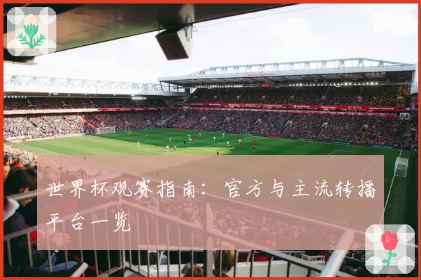 世界杯观赛指南：官方与主流转播平台一览