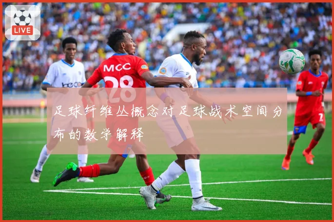 足球纤维丛概念对足球战术空间分布的数学解释