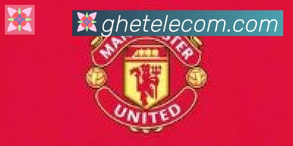 华体育app官网登录入口合作伙伴